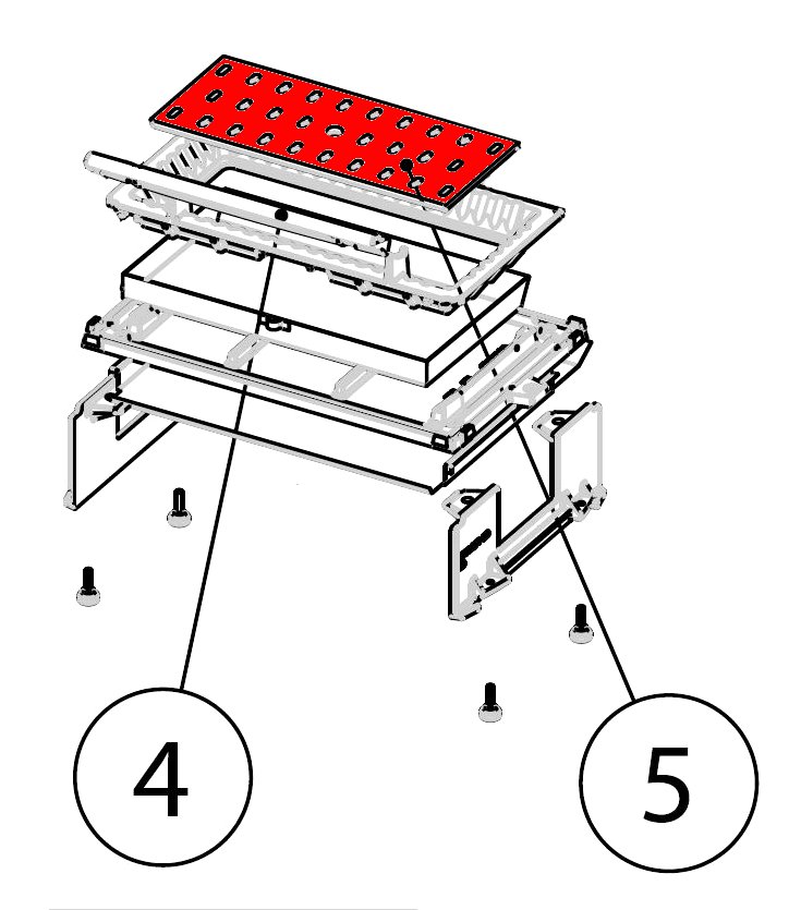 Leda Adora rysterist