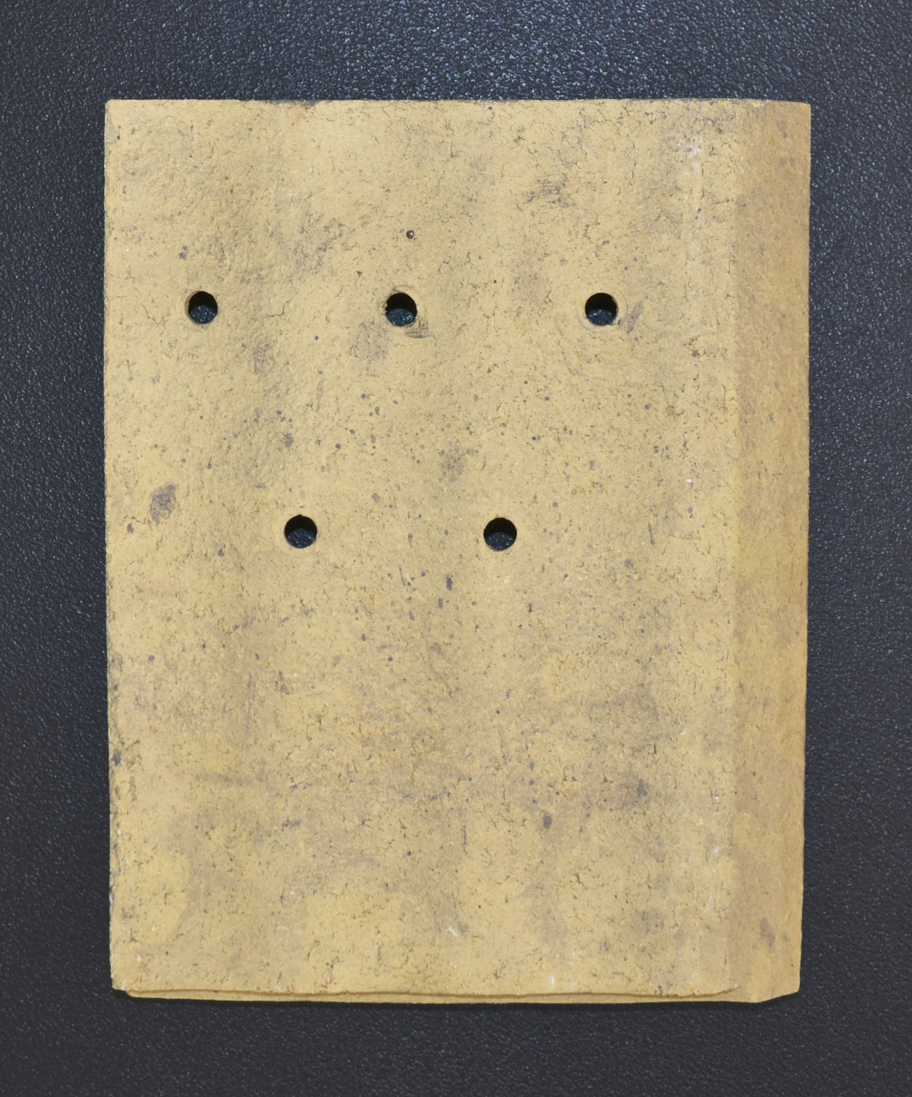 Leda Ascua pierre de plaque arrière droit