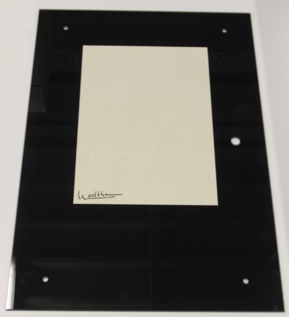 Wodtke Tabo Glasruit zwart Wodtke Tabo Glasruit zwart