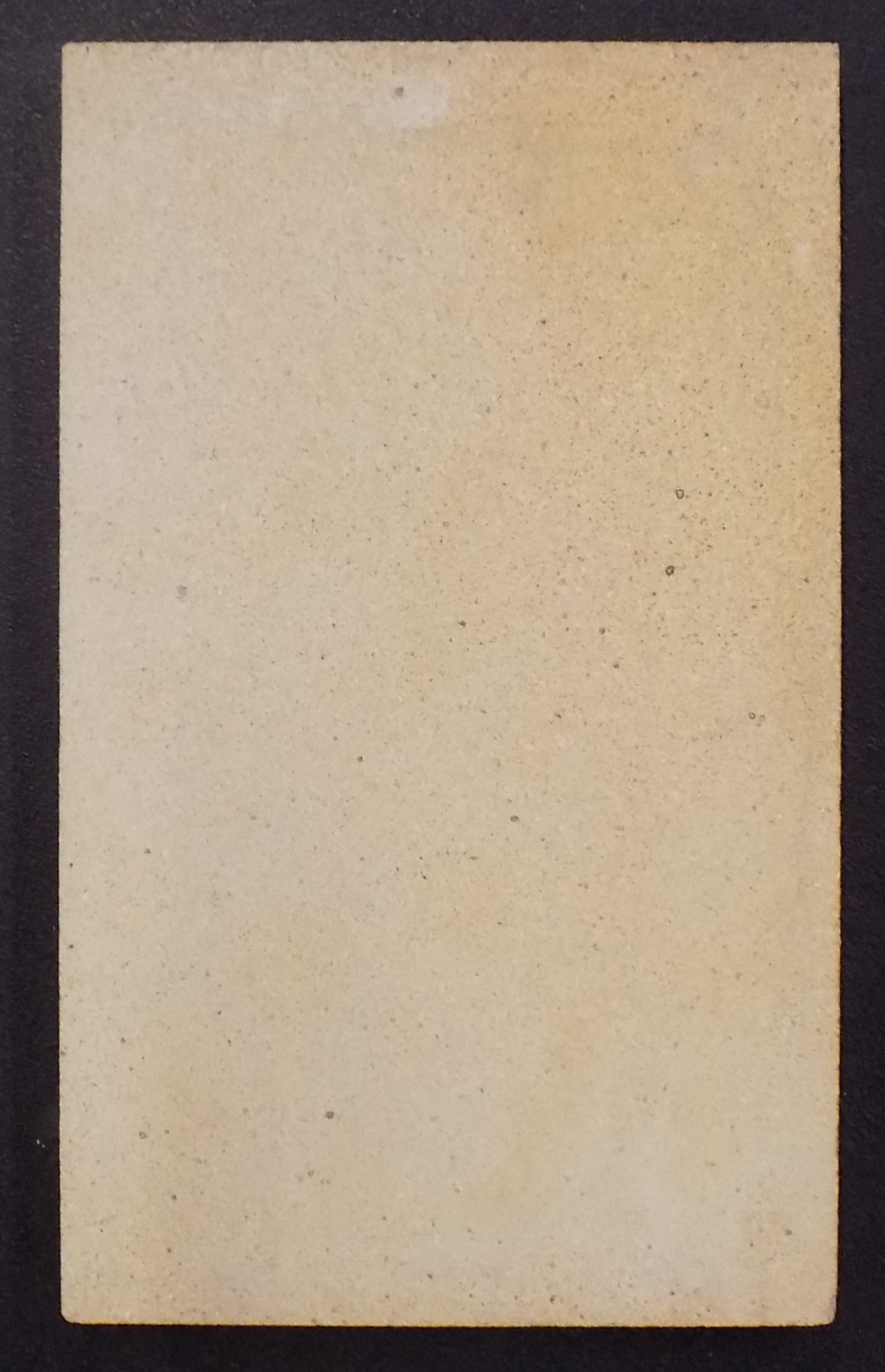 Justus Viking Rückwandstein rechts A Vermiculite rechteckig Justus Viking Rückwandstein rechts A Vermiculite rechteckig