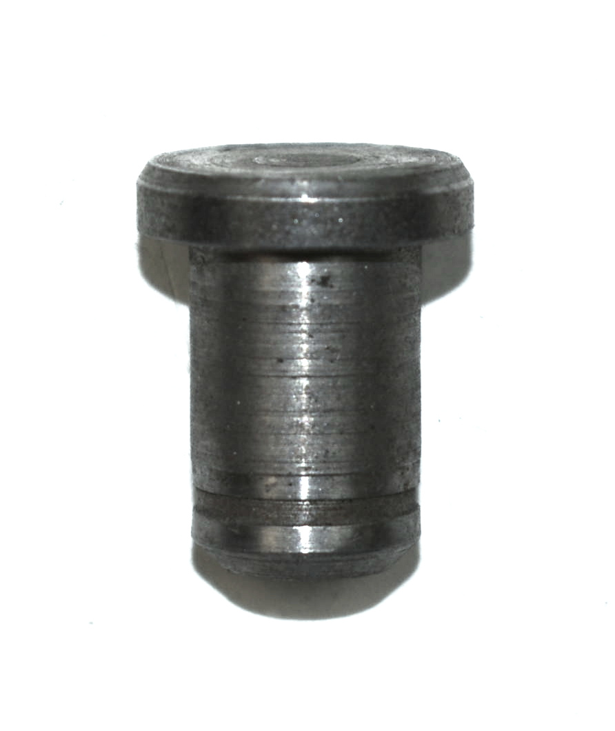 Haas-Sohn Pinus 218.17 boulon charnière de porte de foyer en bas